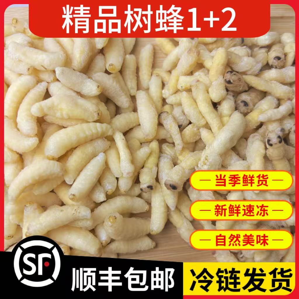 树蜂1+2蜂蛹新鲜速冻蜂蛹今年新货马蜂胡蜂葫芦蜂