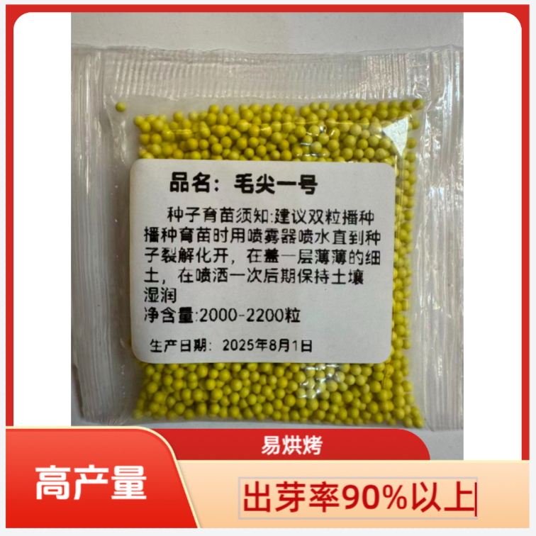 毛尖一号/丸粒化颗粒高产适合海拔2400以下云贵川陕河湖畅销品种