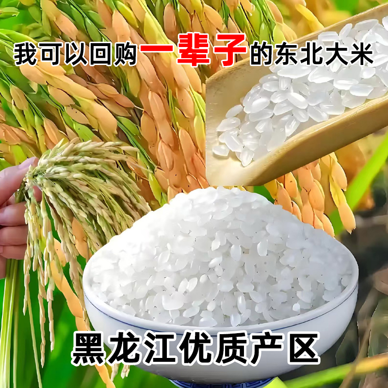 【粉丝福利】春种秋收黑龙江东北当季大米黑土地种植圆粒米小袋包装