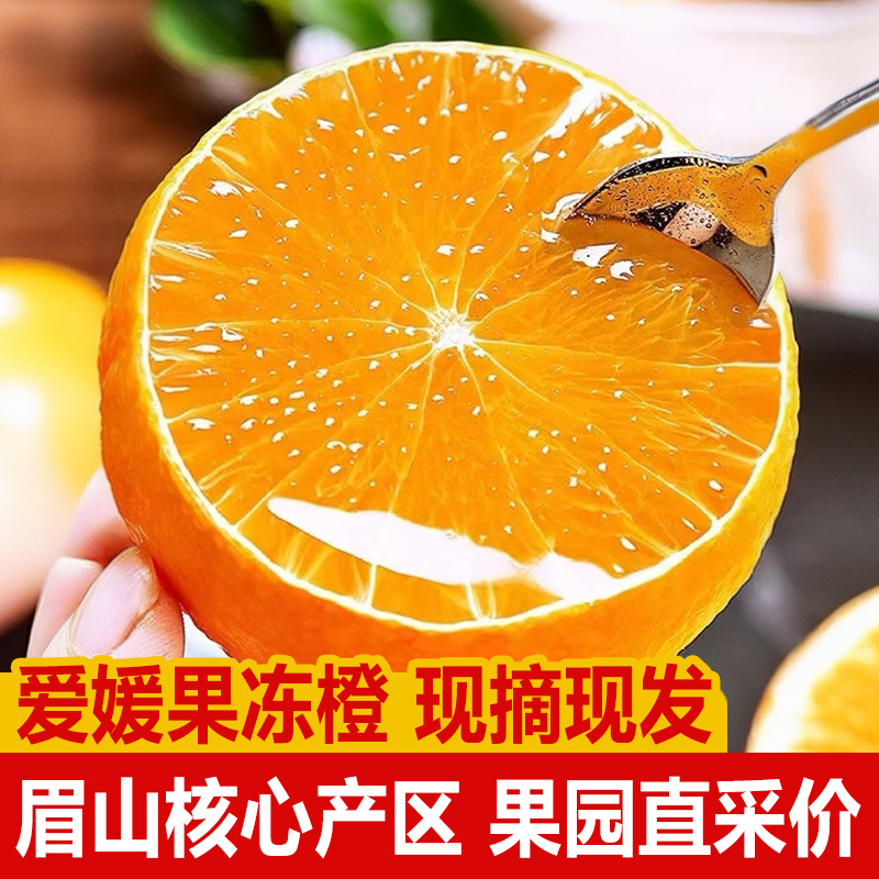 爱媛38号果冻橙【四川核心产区老树鲜果】新鲜采摘香甜多汁应季水果