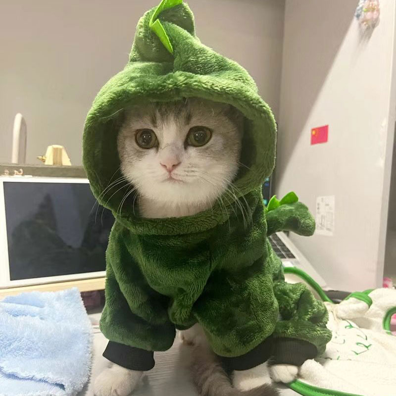 猫咪衣服秋冬款保暖薄绒恐龙纹小恐龙中小型犬狗狗可爱衣服春秋款