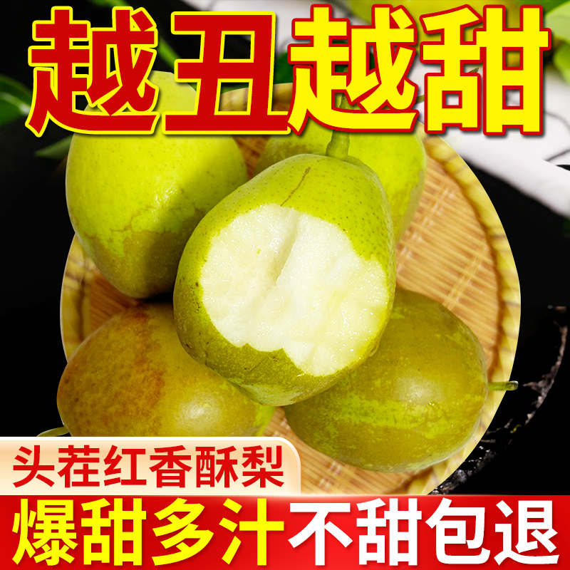 【带箱5斤】正宗山西红香酥梨水分充足果肉细腻纯甜