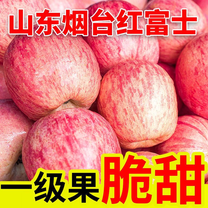【新客立减】山东烟台栖霞正宗红富士条纹红苹果脆甜薄皮现摘包邮