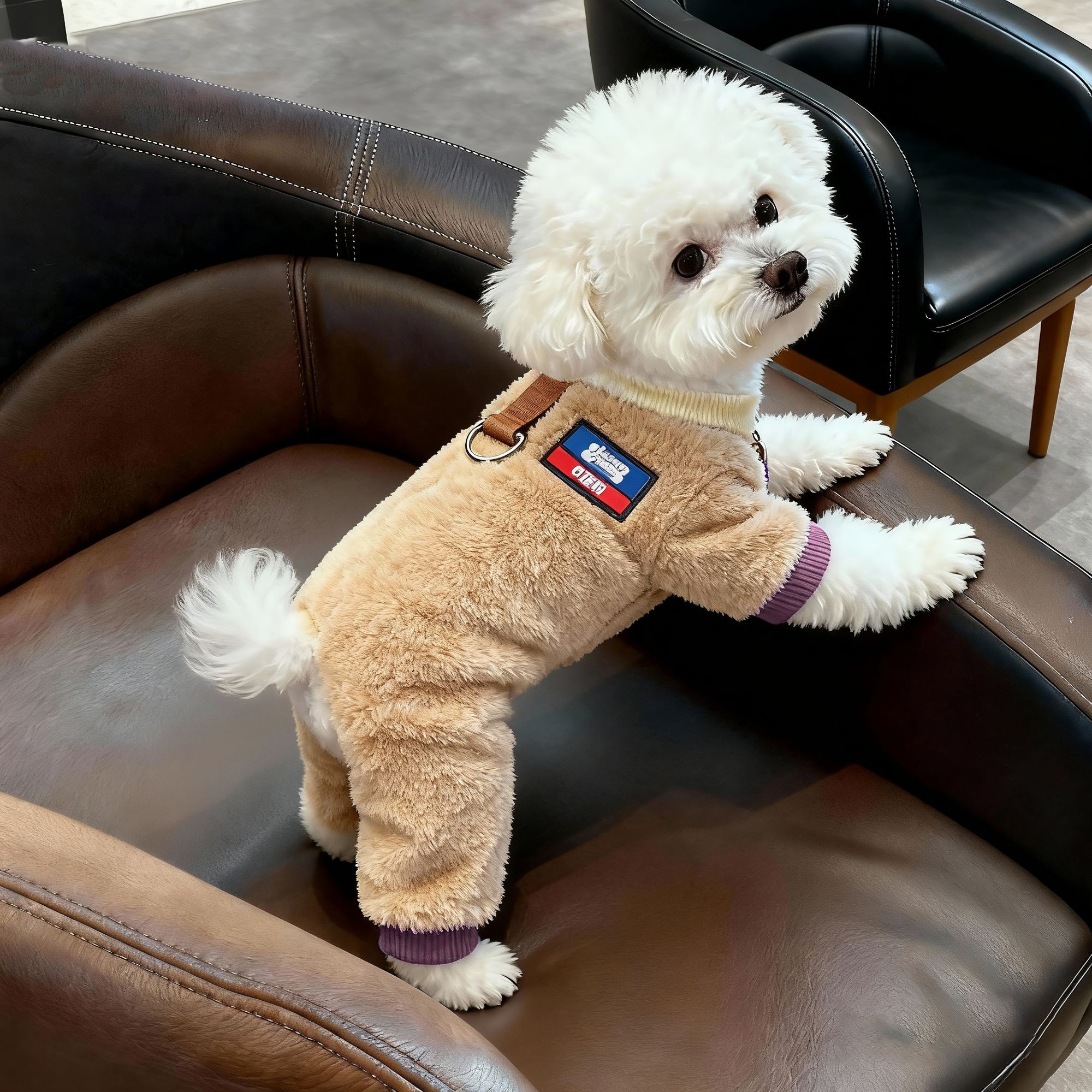 狗狗衣服冬季带牵引扣加厚保暖泰迪比熊小型犬宠物猫咪四脚绒衣