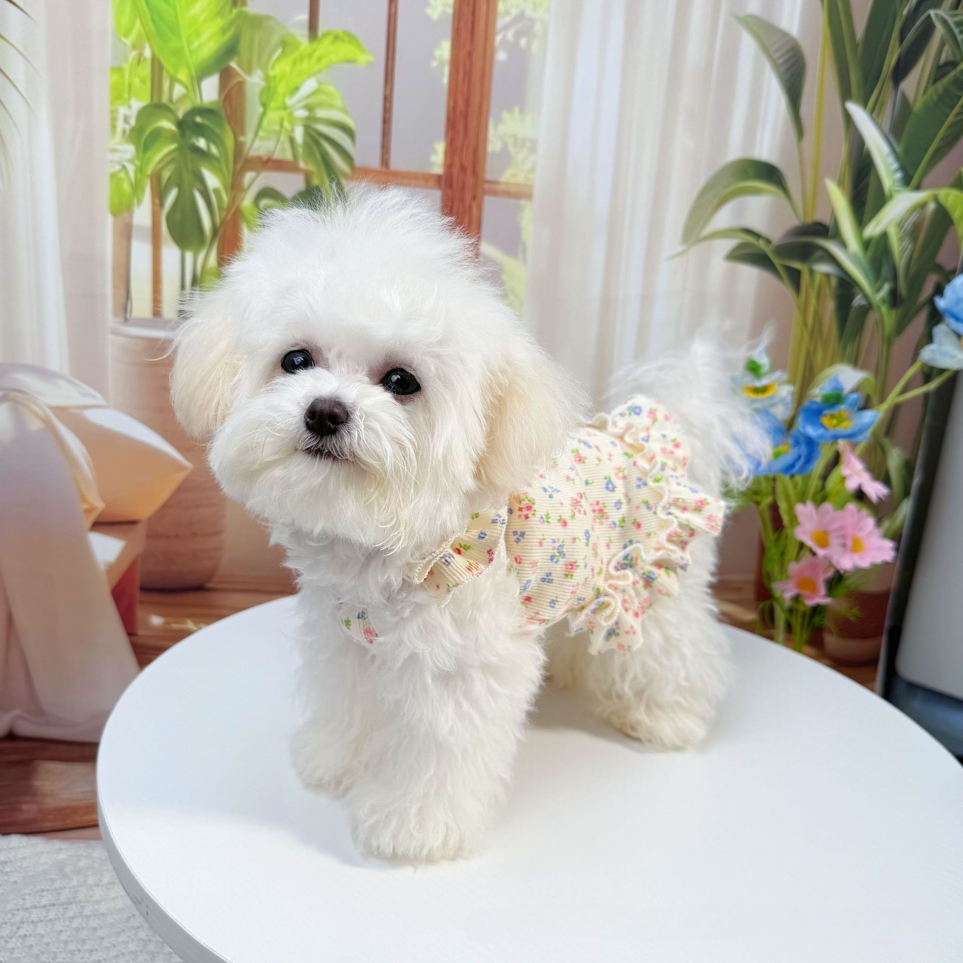 宠物公主风服饰碎花猫咪吊带裙春夏透气狗狗博美衣服