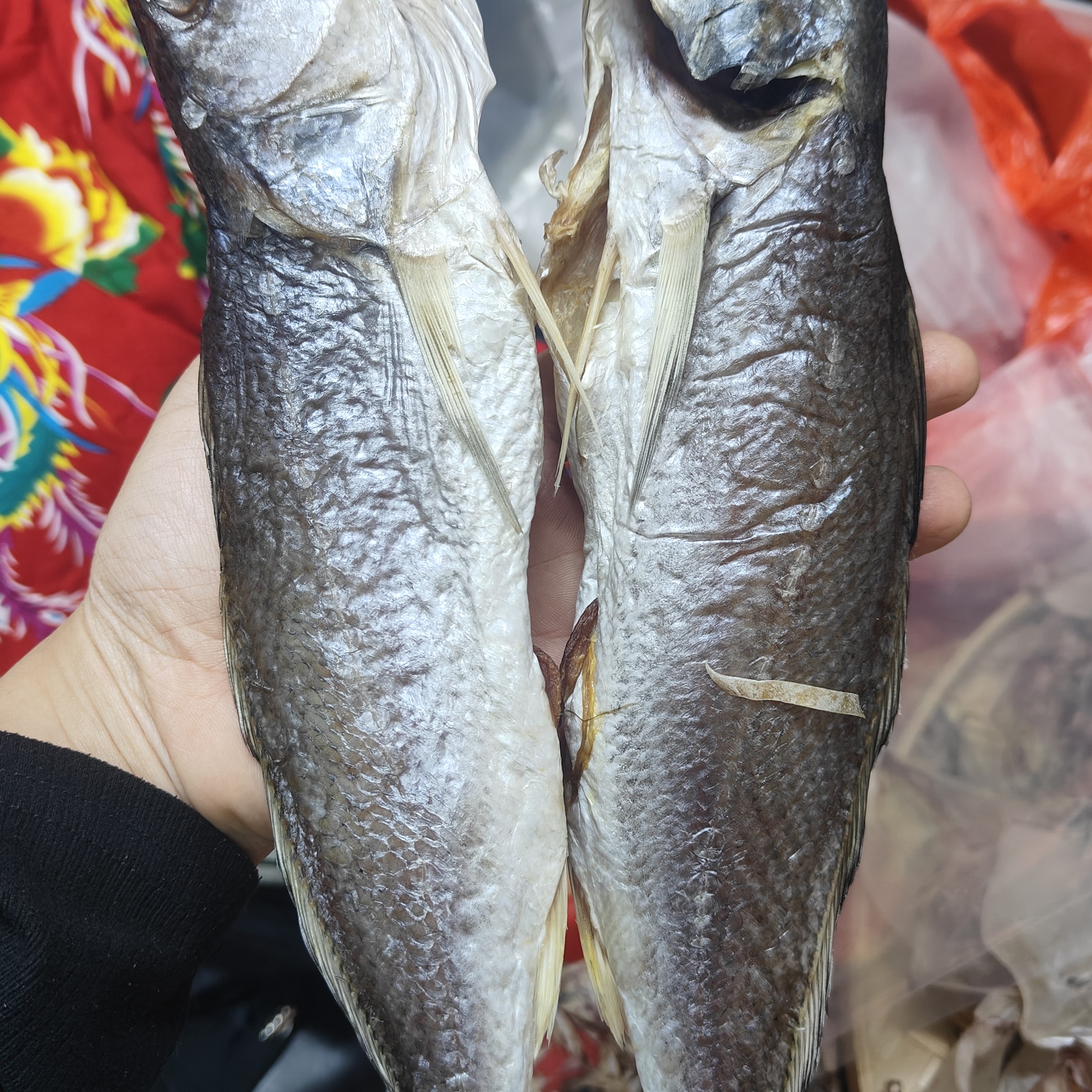 广东汕尾港三牙越鱼干咸鱼蒸煎微咸美味可口包邮海味干货8成半干