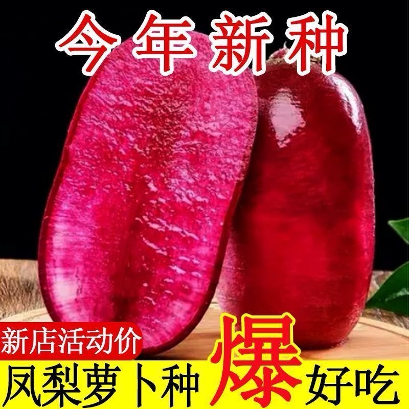甜脆凤梨水果萝卜种子可种于阳台花盆的红皮红心萝卜籽