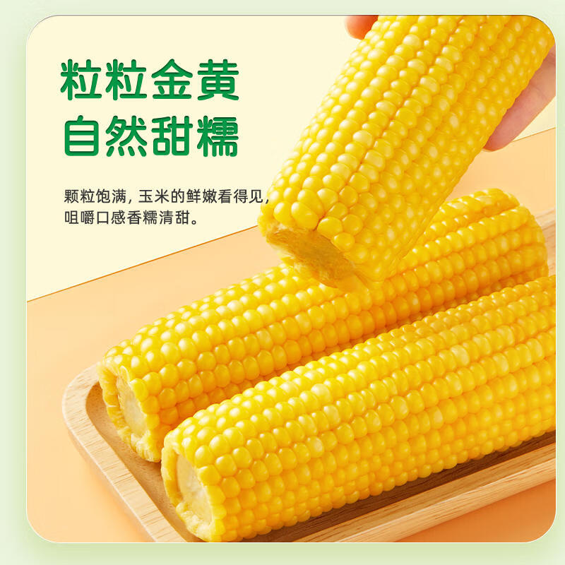 【试吃2根 整箱10根】东北黄糯玉米棒独立包装早餐玉米