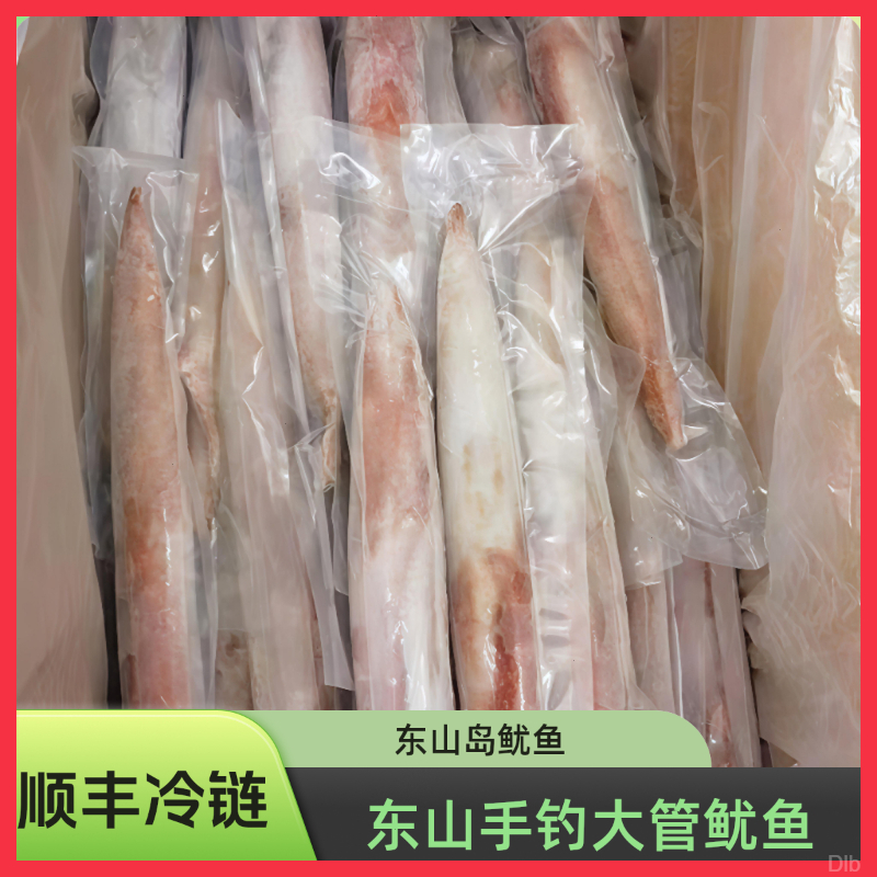 【两只两斤】手钓大管鱿鱼东山岛活冻火箭管乌贼枪鱿鱼鲜活速冻大管