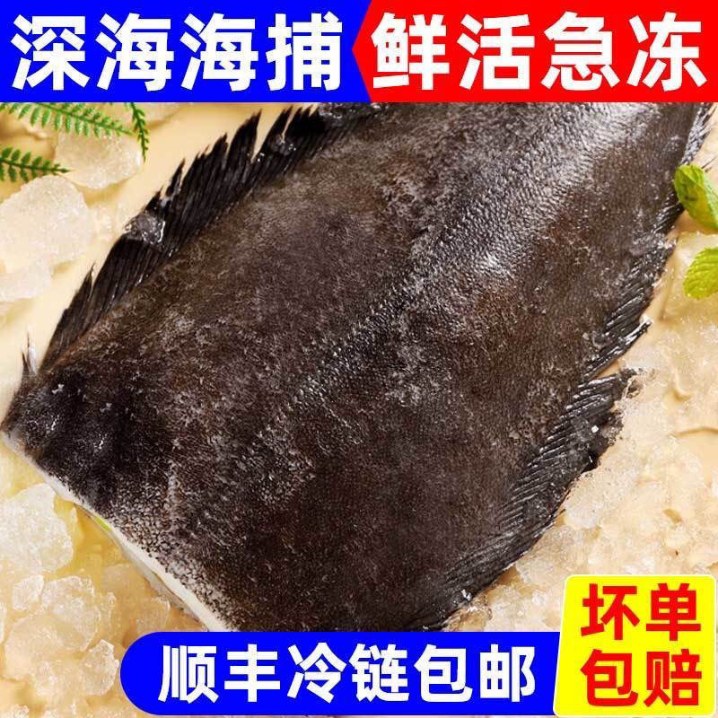 正宗新鲜鲽鱼身冷冻鲽鱼鱼身一整箱扁鱼五斤3-4条特大