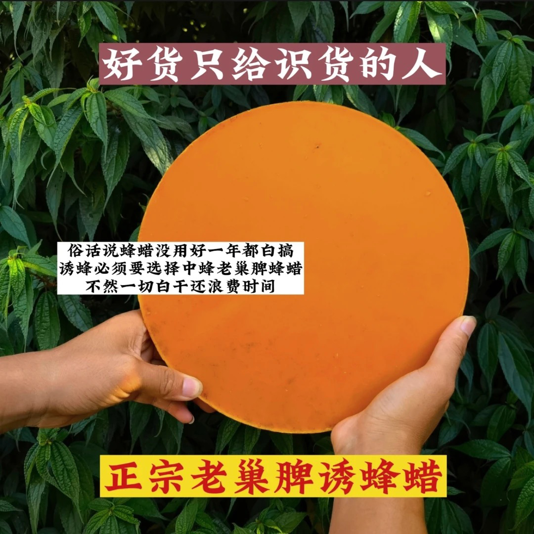 湘西小文 正宗蜂蜡 老巢脾诱蜂蜡 户外诱蜂蜡天然清香实用