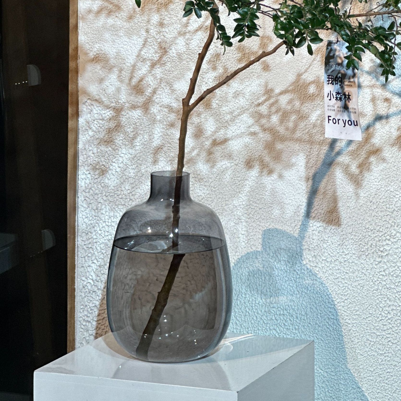 「30cm大肚瓶」精品人工小口大肚玻璃花瓶通透大容量木本类鲜切专用