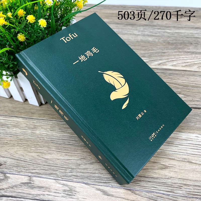 （一地鸡毛）经典现当代文学小说