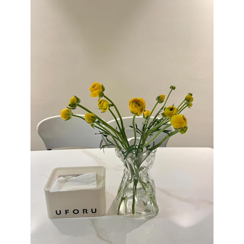 S高级感简约创意不规则民宿花瓶透明玻璃客厅桌面插花水养装饰