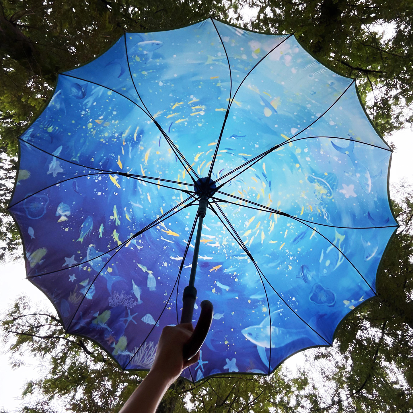 VONLILIENFELD高颜值雨伞抗风双人伞长柄自动伞弯钩木柄16骨大伞