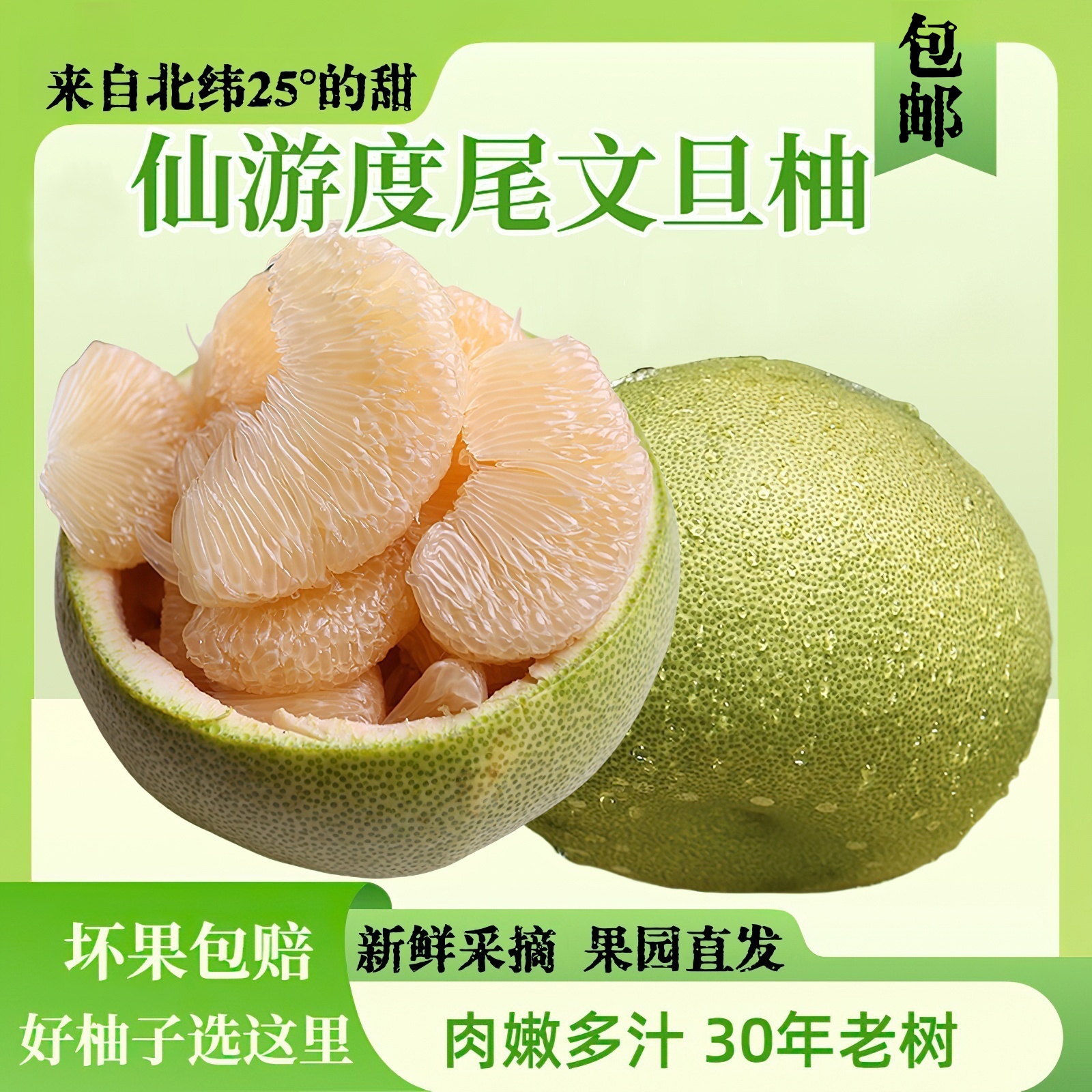福建度尾文旦柚红心蜜柚老树柚子新鲜酸甜多汁孕妇应季时令水果柚