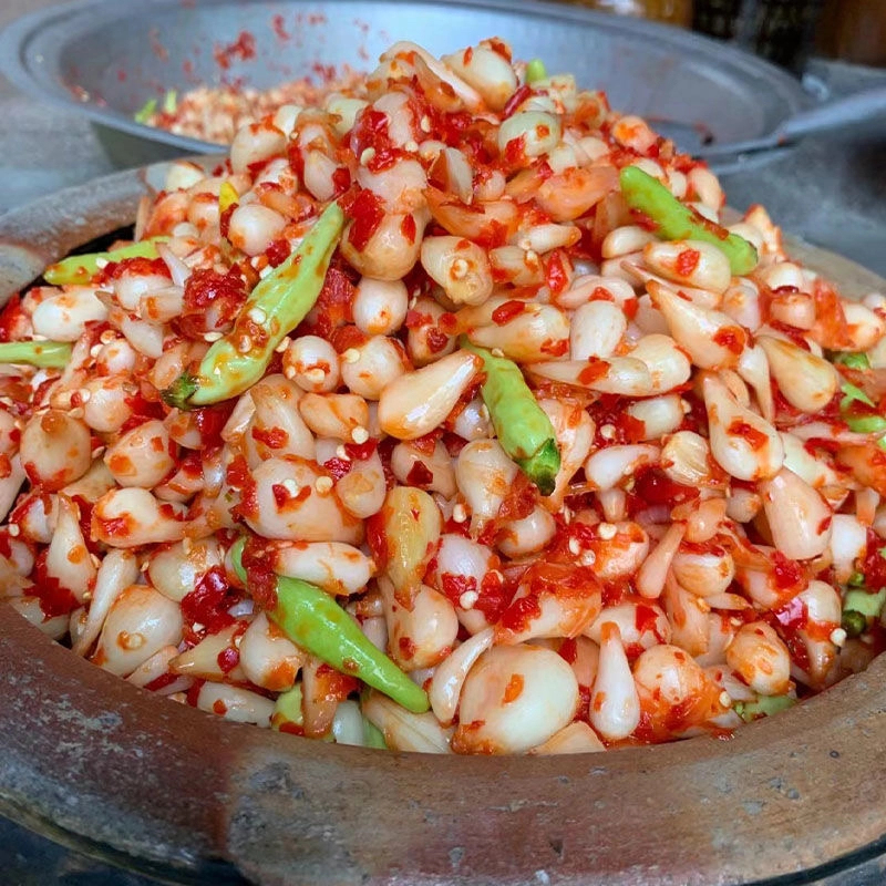 四川剁椒藠头酸辣茭头腌制教头咸菜香下饭菜泡菜罐装宜宾特产酱菜