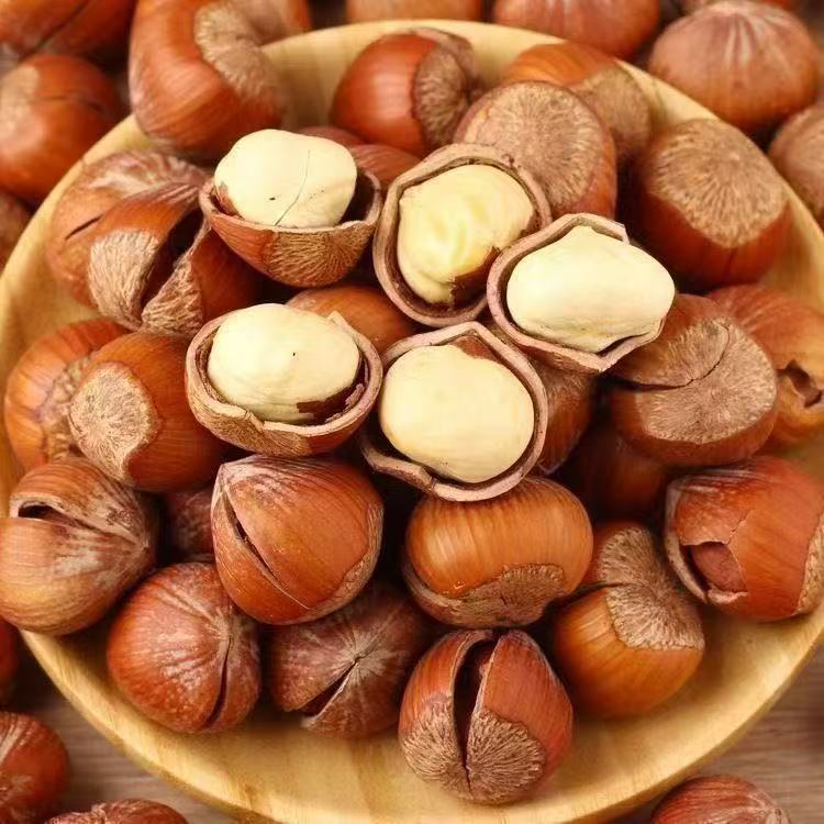 【到手一斤】东北辽宁铁岭开原手拍榛子口味香甜皮薄仁大TY