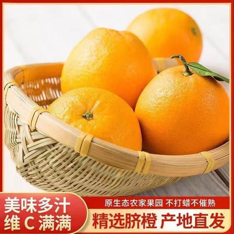 湖南石门纽荷尔脐橙当季新鲜甜橙子，纽荷尔脐橙五斤包邮小时候