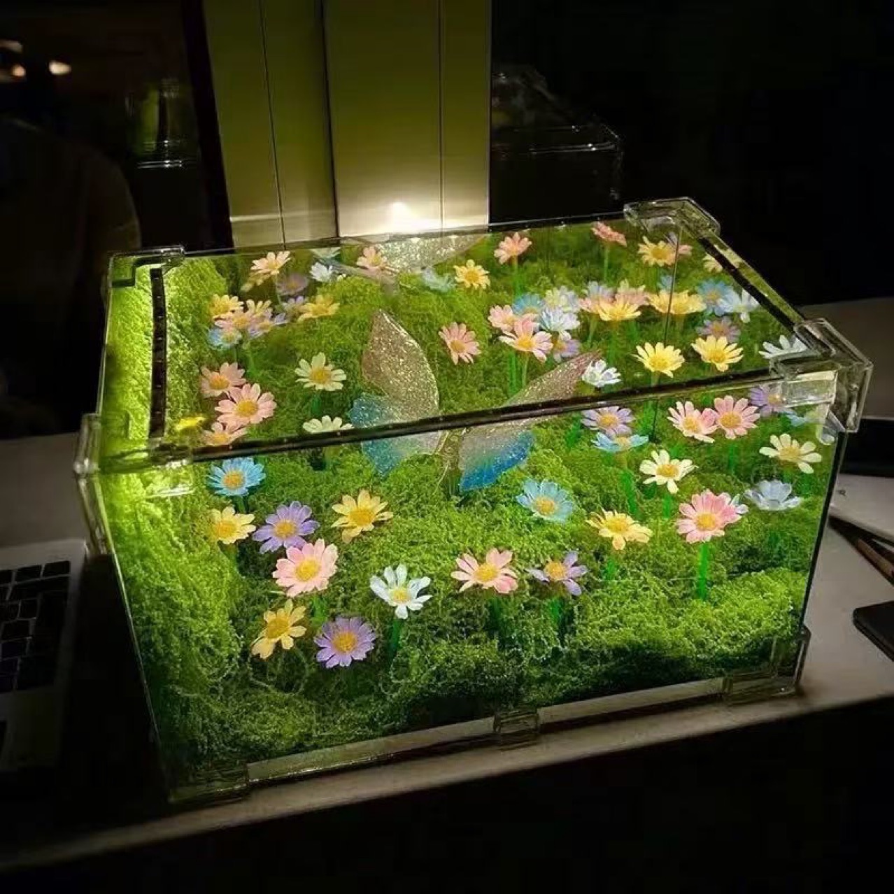 春日蝴蝶小夜灯手工diy材料包绿野仙踪氛围灯卧室睡眠灯送女朋友