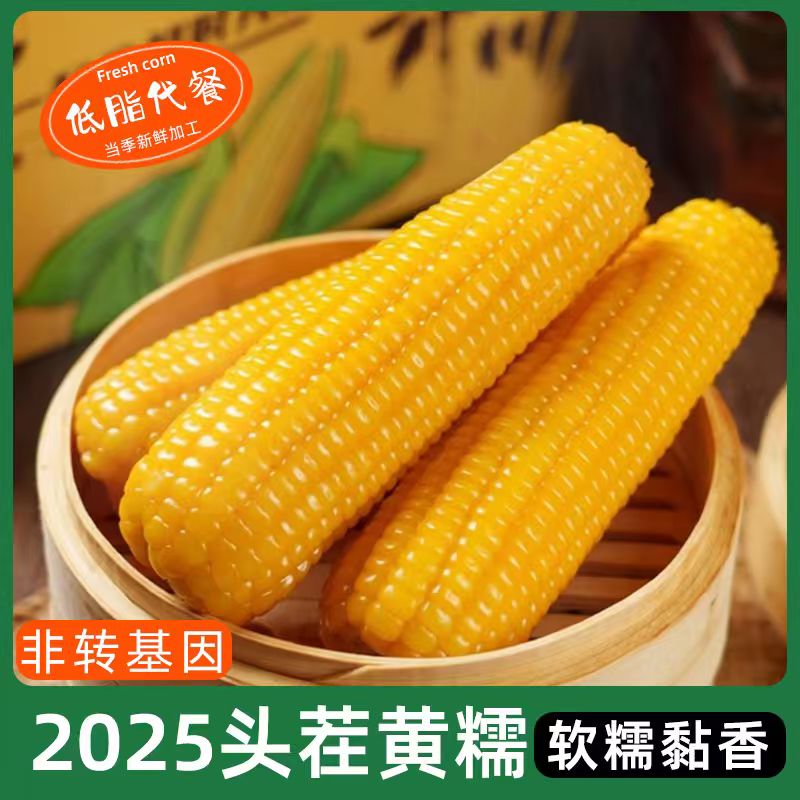 【试吃三根】黄糯玉米2025新货东北正宗香甜软糯玉米透明真空锁鲜
