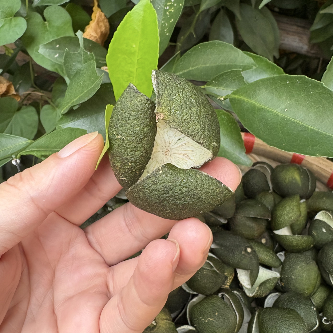 2025年南坦圈枝三花青 13年老树 香气浓郁