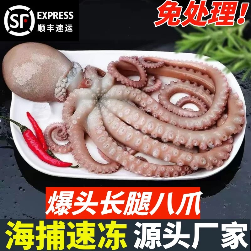 鲜活冷冻 大长腿 爆头八爪鱼 2斤/4斤 顺丰包邮