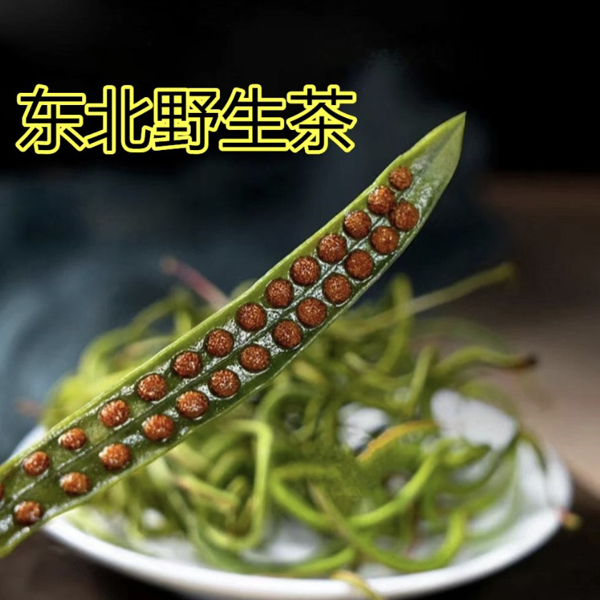 长白山深山嗷嗷草（黄金草）东北特产野生泡水 TZ