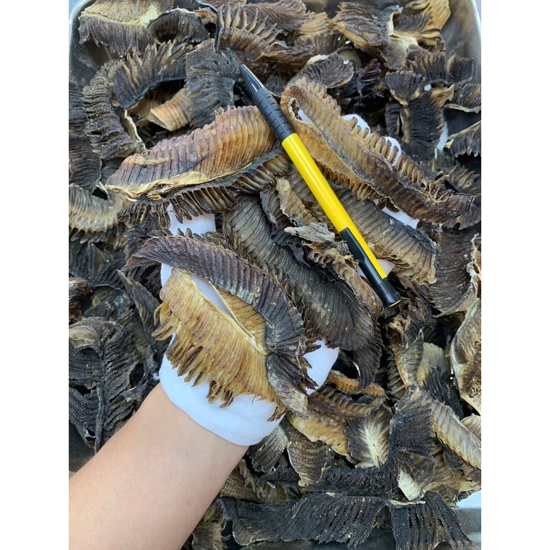 小黑腮足干深海野生膨鱼鳃 精选无硫 渔民晾晒 足干滋润 靓汤料