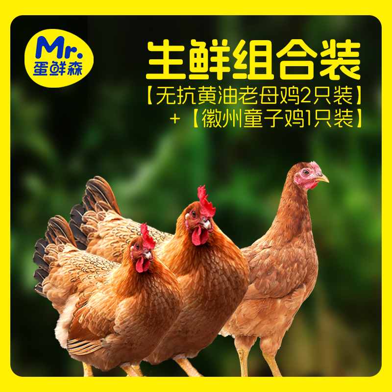 无抗黄油老母鸡2只+1.3斤童子鸡1只新鲜宰杀肉质鲜嫩D