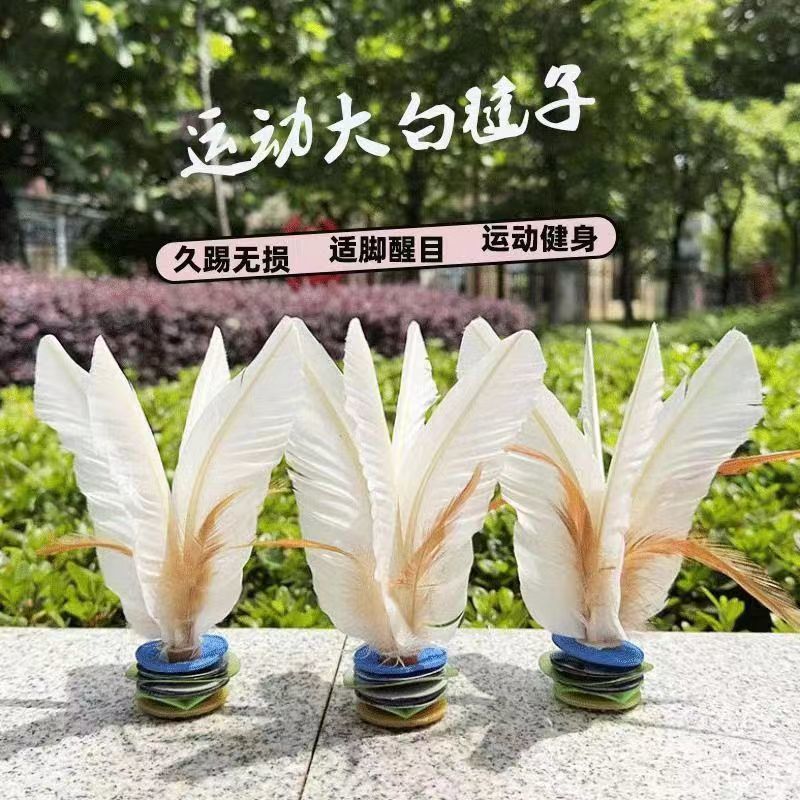 2025毽子运动专用毽球踢毽子键子耐踢成人比赛儿童小学生大白腱健