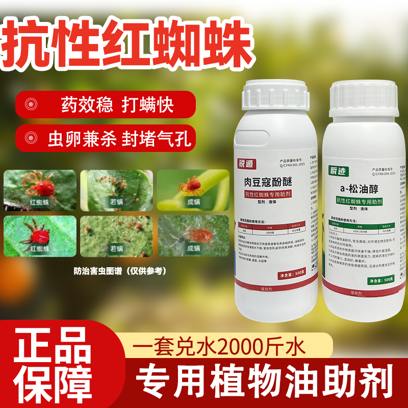 专打爆发性红蜘蛛除螨专用增效助剂高抗性红蜘蛛 杀虫卵不伤花果