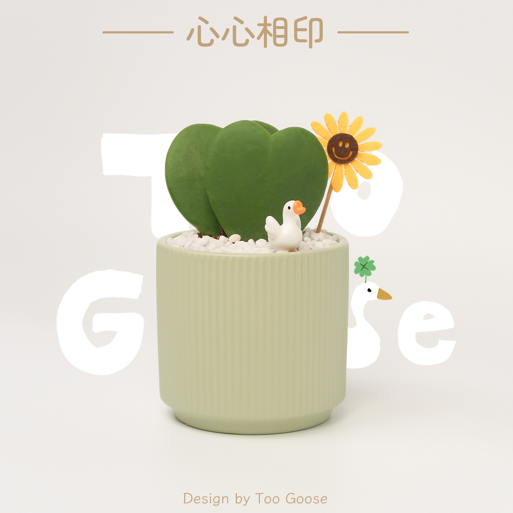 【呆鹅家-心心相印】心叶球兰礼物可爱室内好养绿植多肉创意桌面