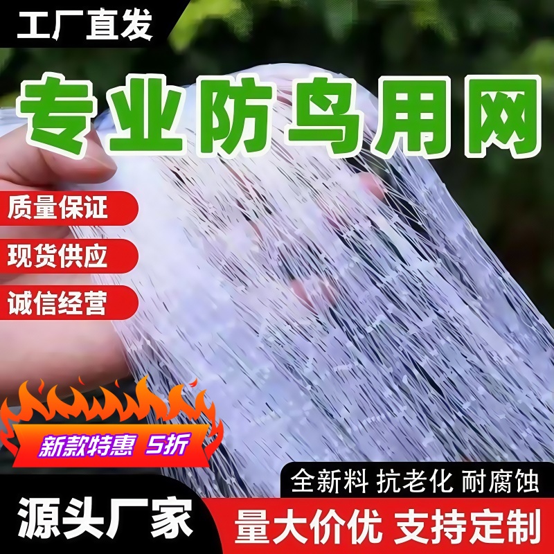 大棚葡萄桃树防鸟网天网果树防鸟用网尼龙樱桃网网套袋网纱网袋
