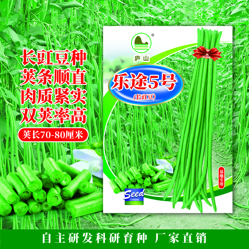 乐途5号长豇豆种子