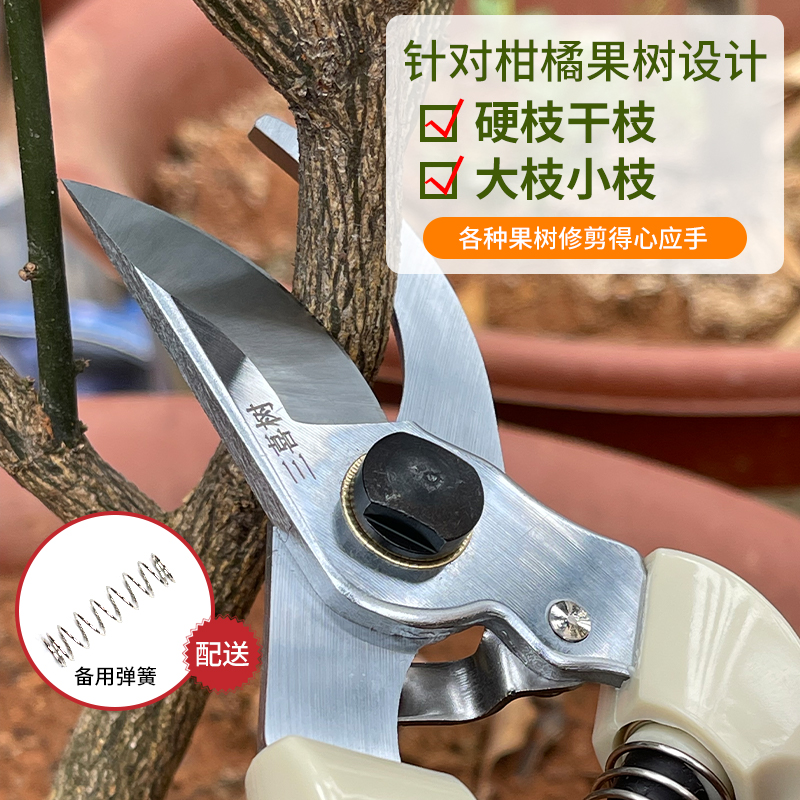 园林园艺修枝剪多功能家用原装花艺省力剪枝修花柑橘动力户外家用