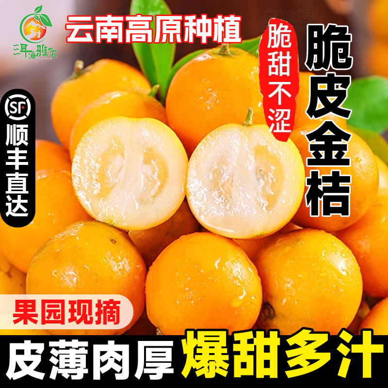 【顺丰直达】第二代脆皮金桔应当季新鲜水果桔子云南大理滑皮金桔