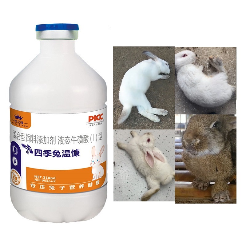 【牧之强-四季兔温慷】种兔幼兔肉兔宠物兔灌服饮水拌料均可