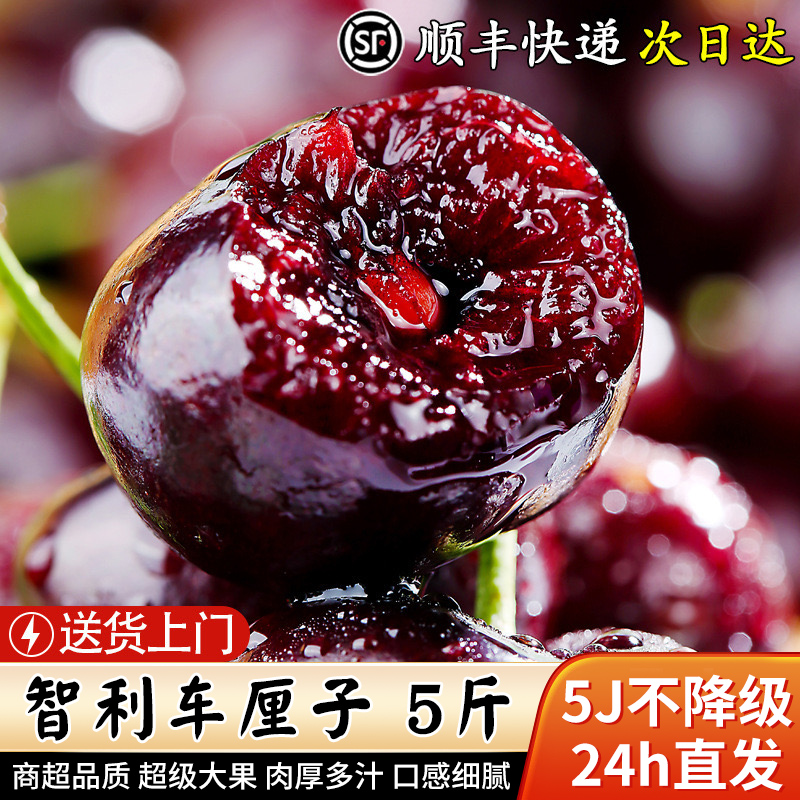 特大果王5斤J-5J拉宾斯智利车厘子海运进口樱桃水果甜内附果径卡