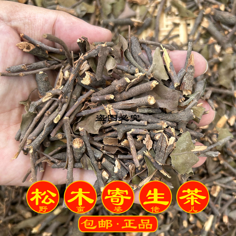 松树寄生 松木寄生茶干品500克包邮