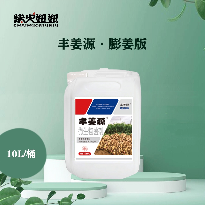 培土后丰姜源膨姜版圆头秋芽增干重