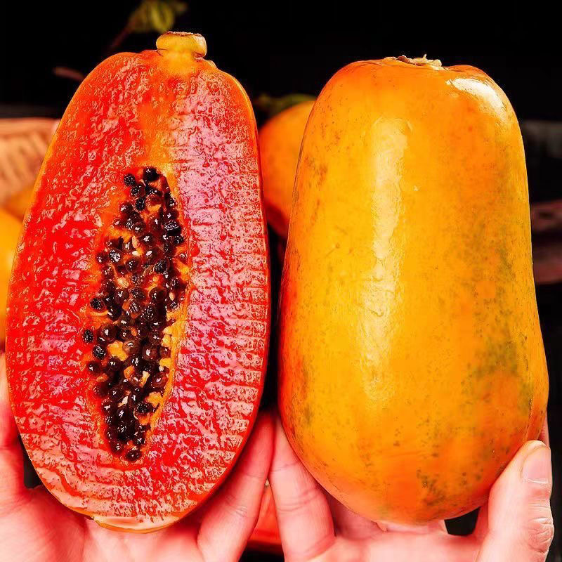 【树上自然成熟】云南冰糖心红心牛奶木瓜新鲜水果香甜细腻3/5/9斤A