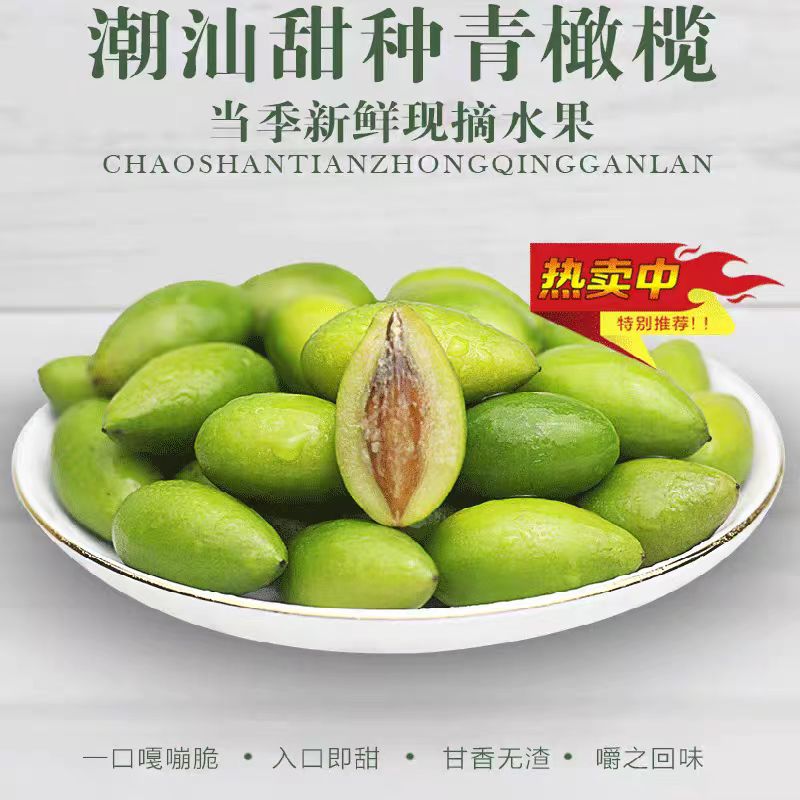 新鲜潮汕金灶水果甜种青橄榄生吃酥脆无渣回甘2号青果孕妇二号榄