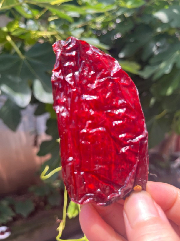 辣椒粿整个 更干更有嚼劲 江西土特产柚子皮糖干茄子干豆角干包邮