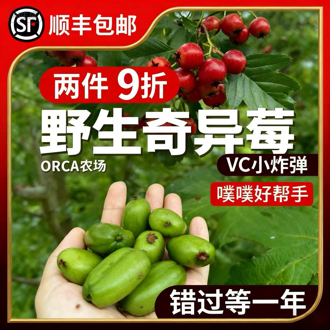 丹东软枣礼盒奇异莓蜜甜无农药家庭农场直供2025新鲜现摘产地直发