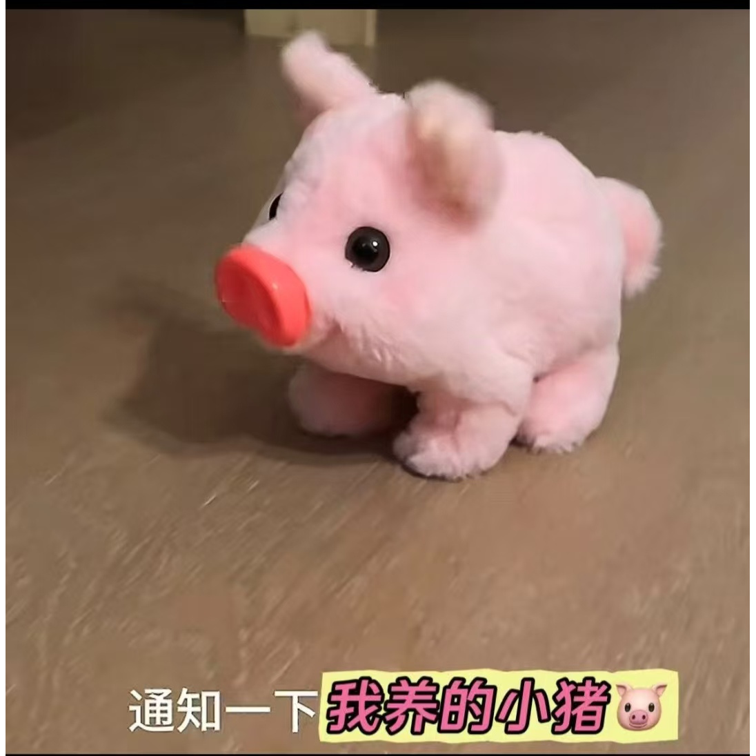 【小猪】会动出声玩偶可爱摇晃小猪闺蜜生日礼物惊喜创意宠物玩具