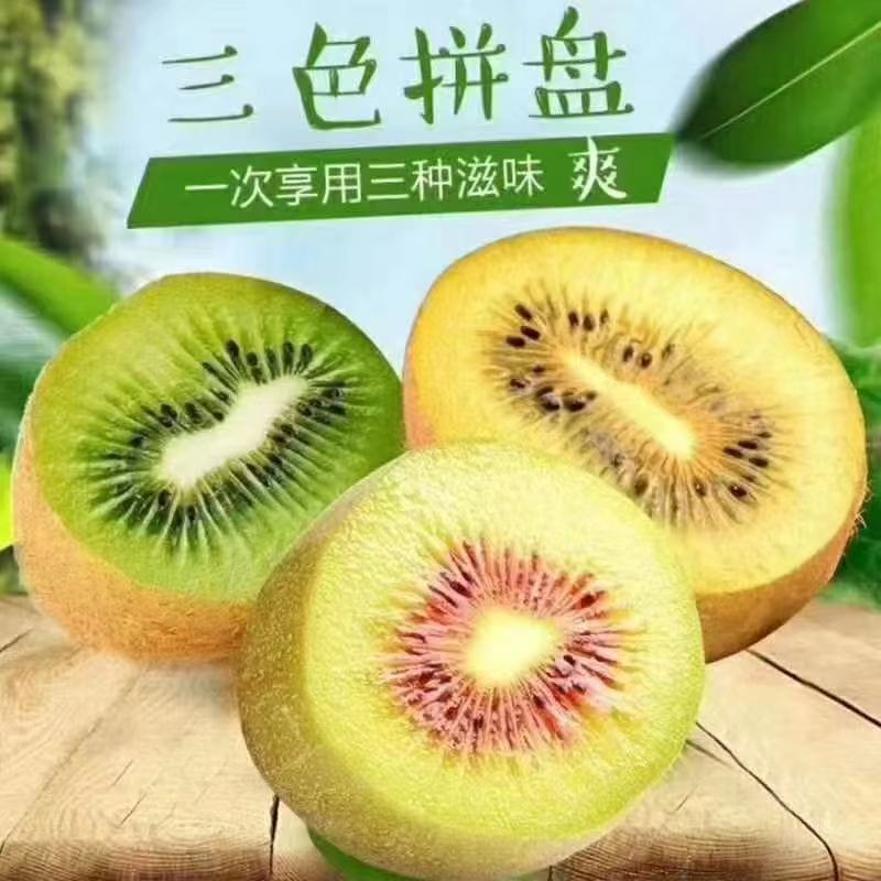 正宗批发西峡直发大果猕猴桃新鲜应季水果奇异果礼品盒整箱包邮vs