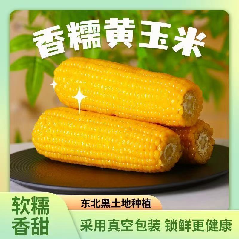 【试吃5根】东北黄糯玉米软糯粘香真空包装7-8斤12大棒