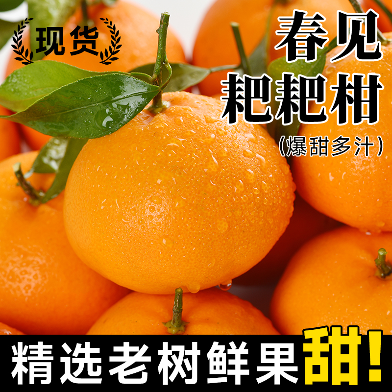 正宗四川春见耙耙柑粑粑柑斤10橘子甜当季整箱新鲜水果丑柑桔包邮