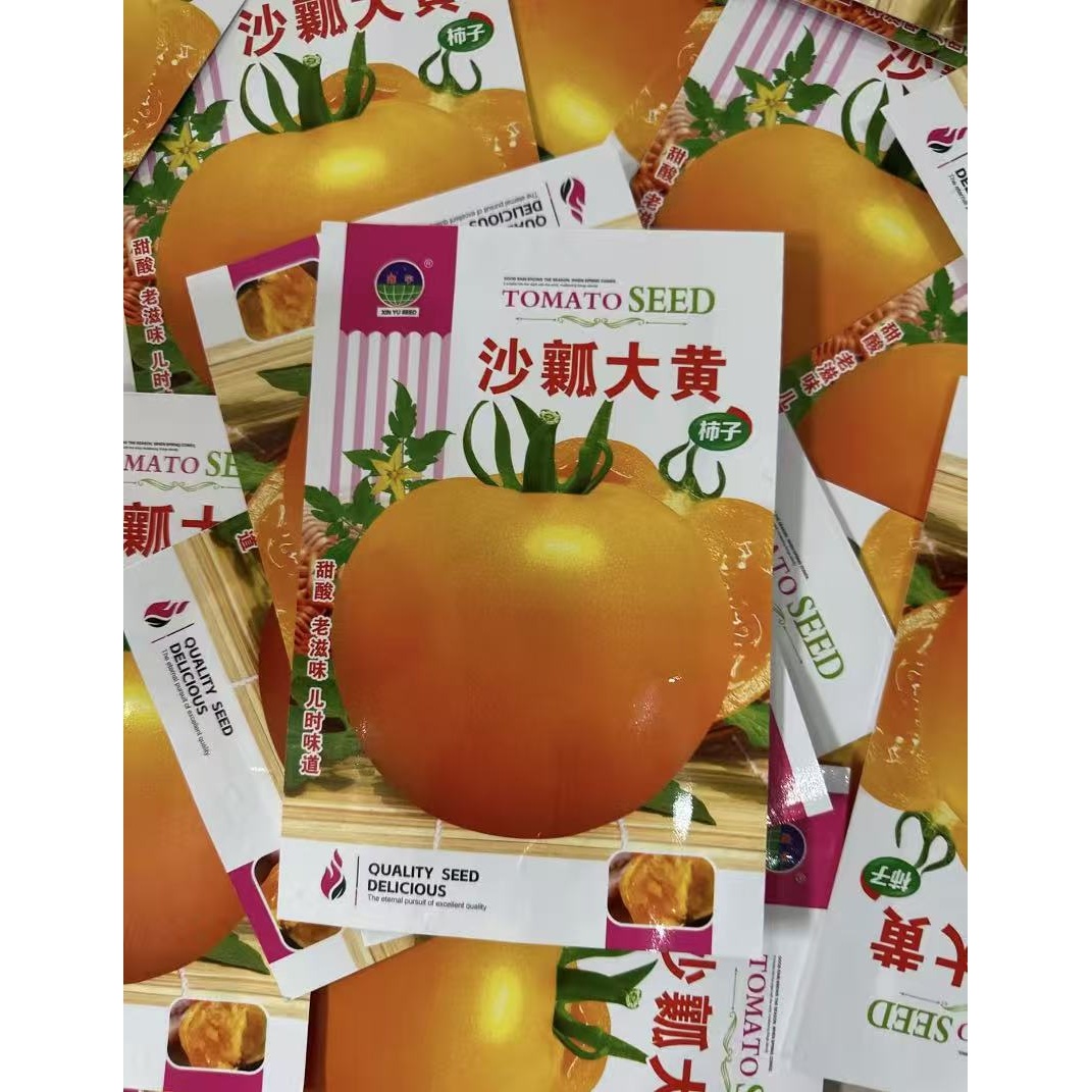 老品种西红柿黄色大西红柿种子沙瓤大黄柿子种子阳台盆栽蔬菜种子